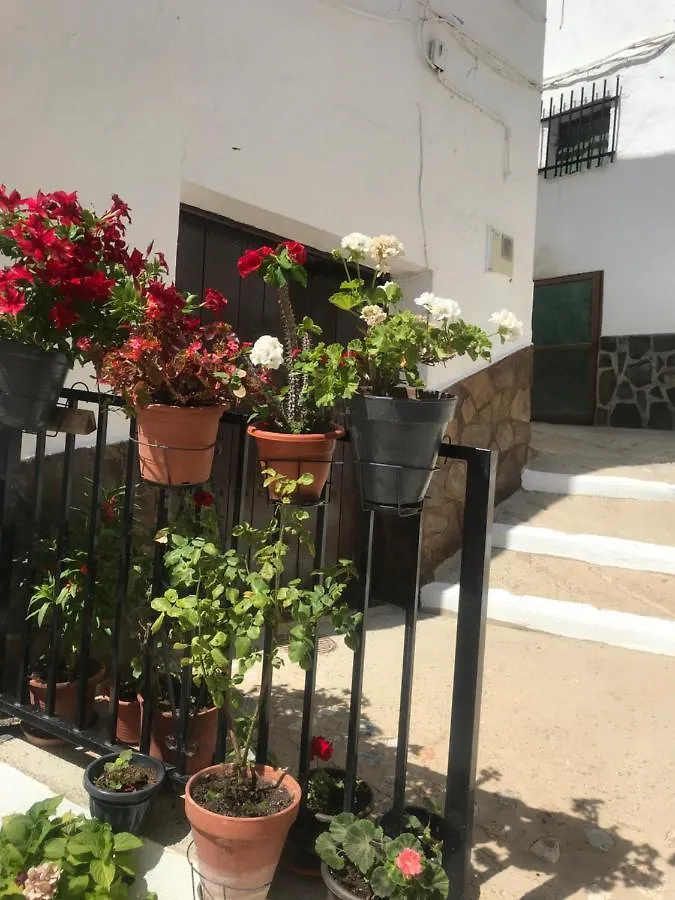 Apartment Casa Amigos Sorvilan- La Palmera